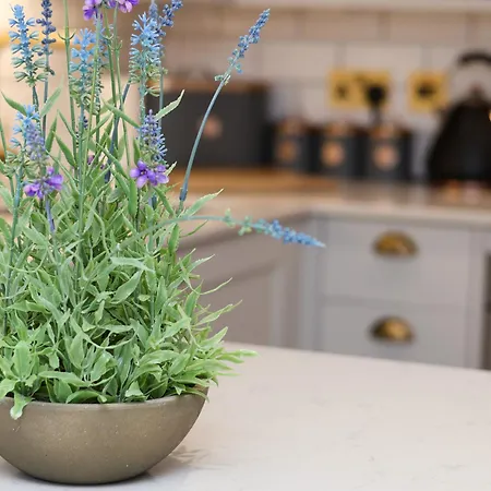 Kitty's Hébergement de vacances Whitby